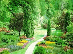 beau jardin