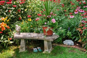Garden Bench and garden shoes