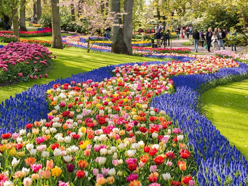 Comment cr er un superbe jardin de fleurs  Jardins  et 