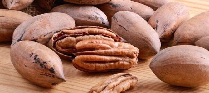 Comment faire pousser un pacanier à partir d’une noix de pécan Comment faire pousser un pacanier à partir d’une noix de pécan