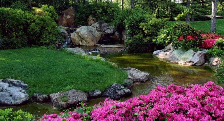 7 conseils d&rsquo;aménagement paysager pour réaliser votre jardin de rêve