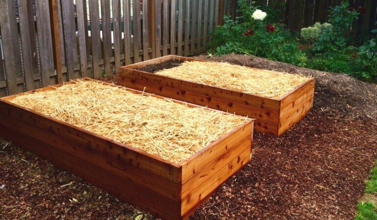 10 conseils incontournables pour bien préparer son jardin pour l&rsquo;hiver
