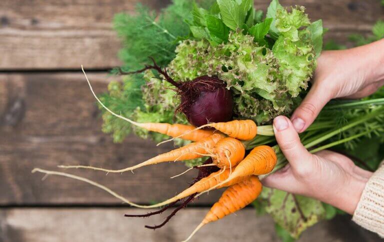 14 légumes faciles à cultiver même si vous avez un petit jardin potager