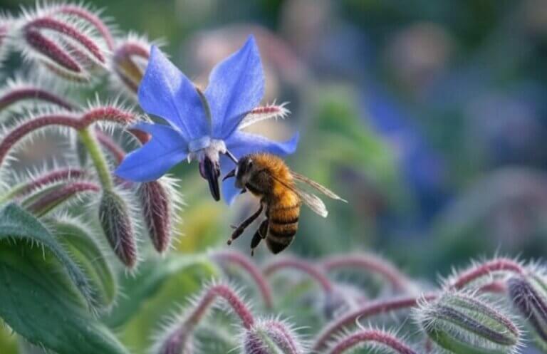 9 fleurs à planter au printemps pour attirer les abeilles